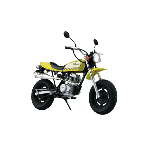 Aoshima 1/12 Honda AC16 Ape - 50 '06 Custom Takegawa Ver.