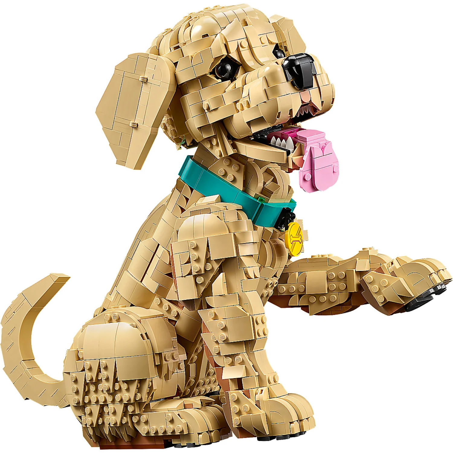LEGO 11384 Golden Retriever Puppy - Icons - Image 3