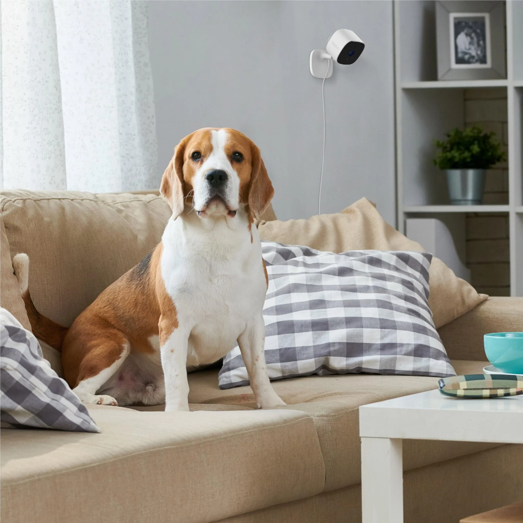 Swann EVO 2K Indoor WiFi Camera - Image 12