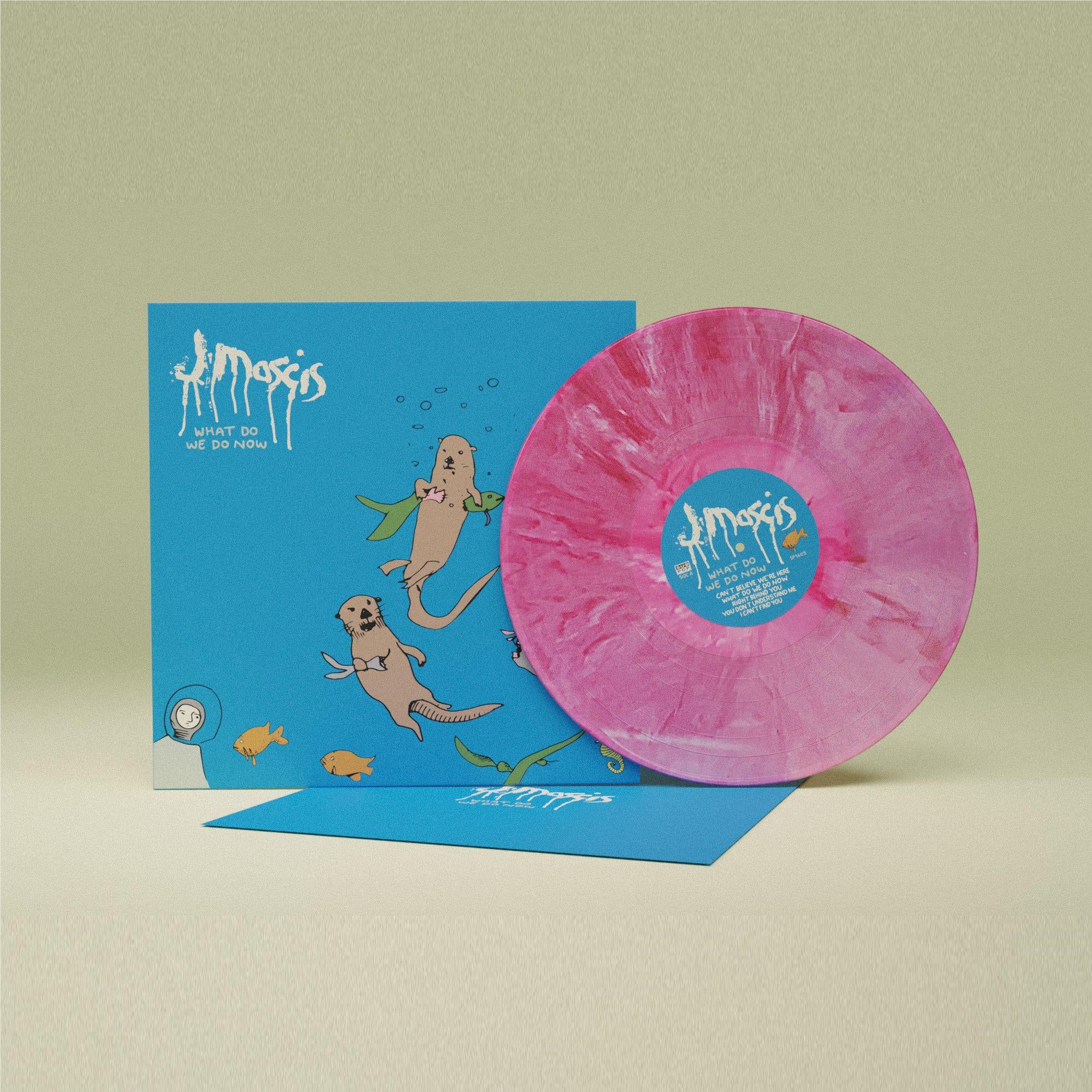 What Do We Do Now (Marbled Pink Vinyl)