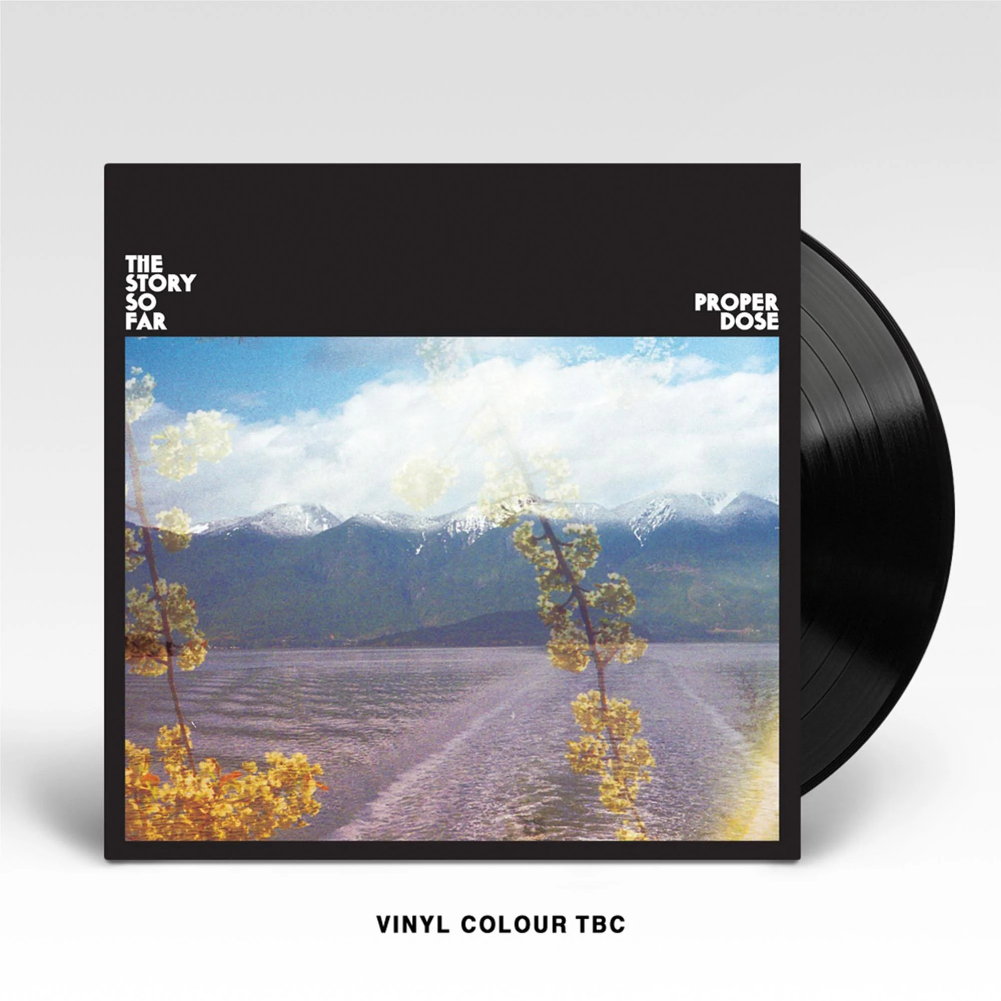 Proper Dose (S'mores Marble Vinyl Reissue)