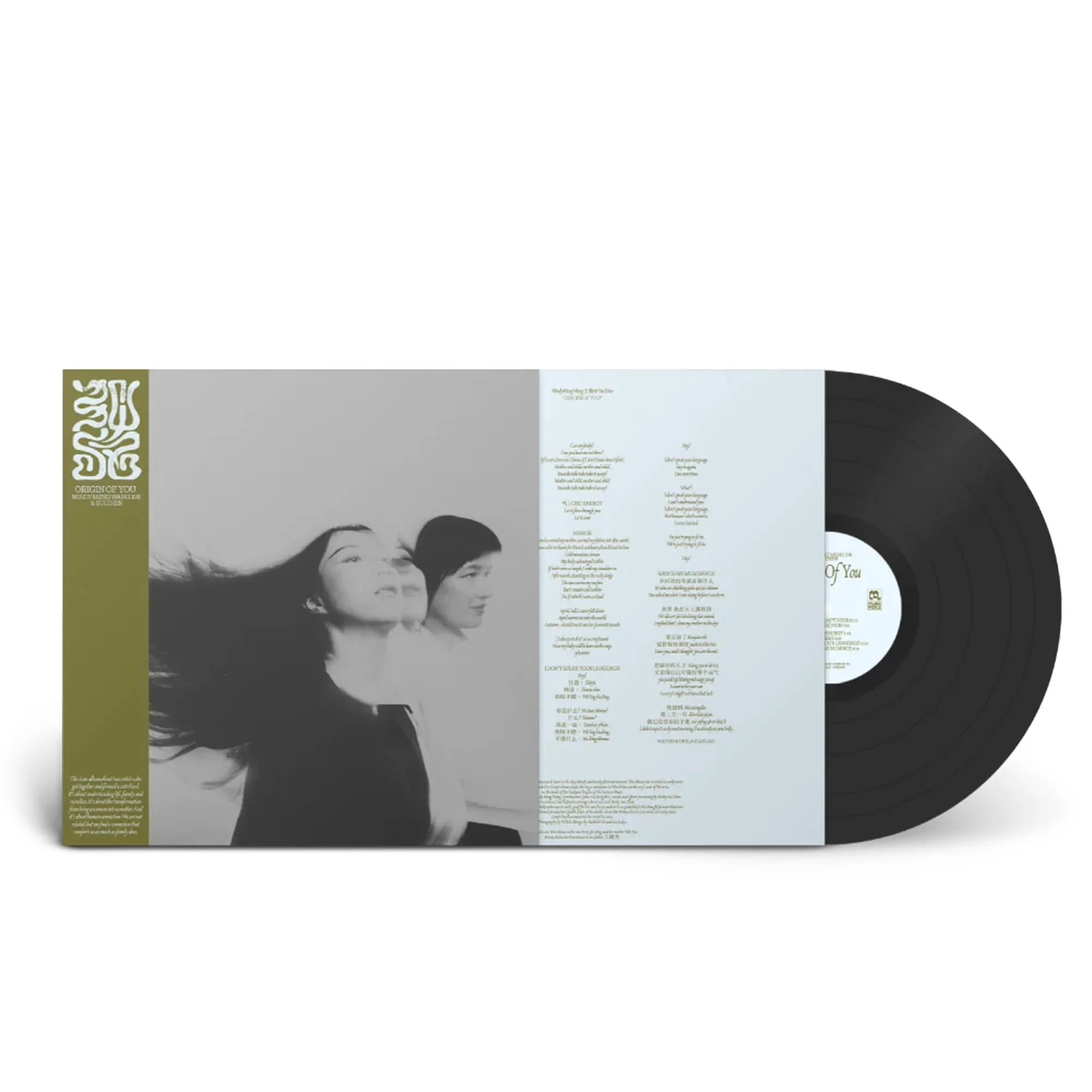 Origin Of You (Vinyl)